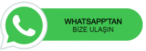 Chat on WhatsApp
